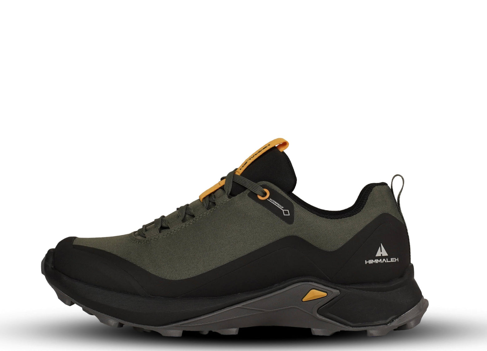 shoe