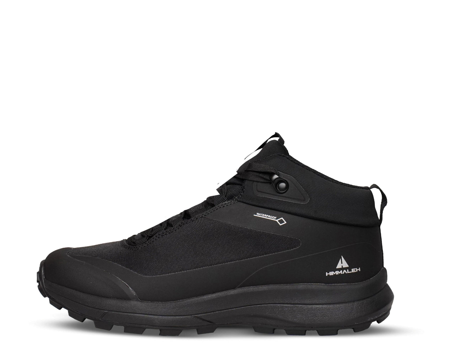 shoe