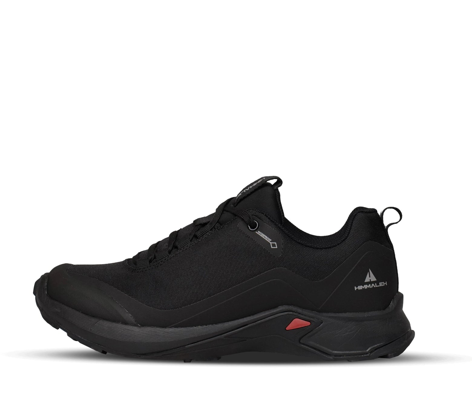 shoe