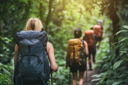 Your First Trek: The Complete Beginner's Guide to Preparation, Gear & Safety
