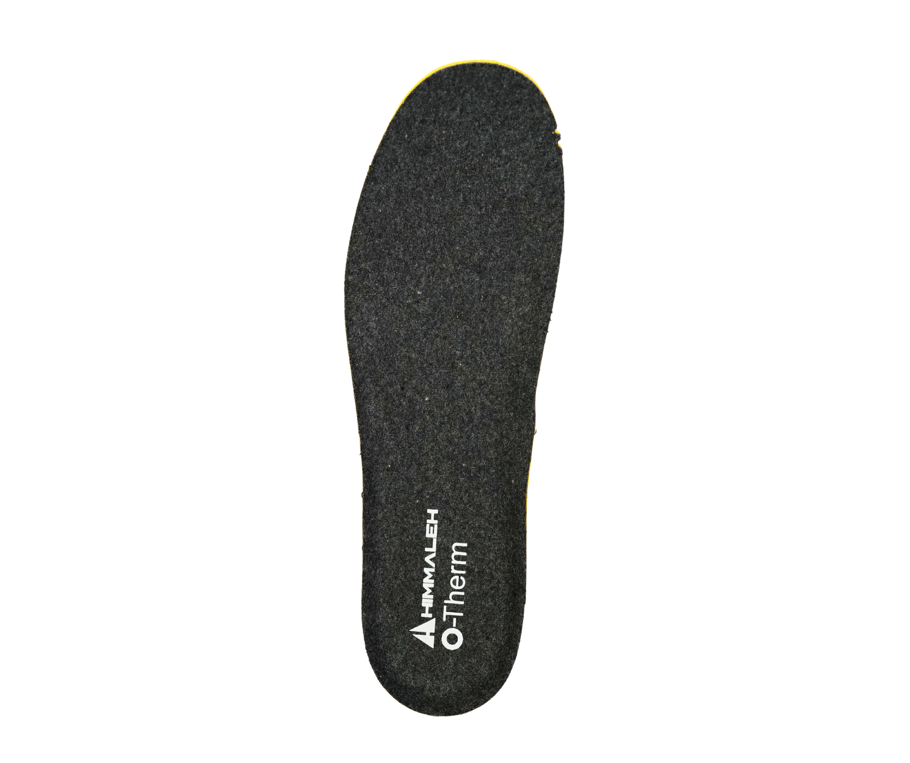 MENS FROST SNOW HTX SHOES (3M THINSULATE)