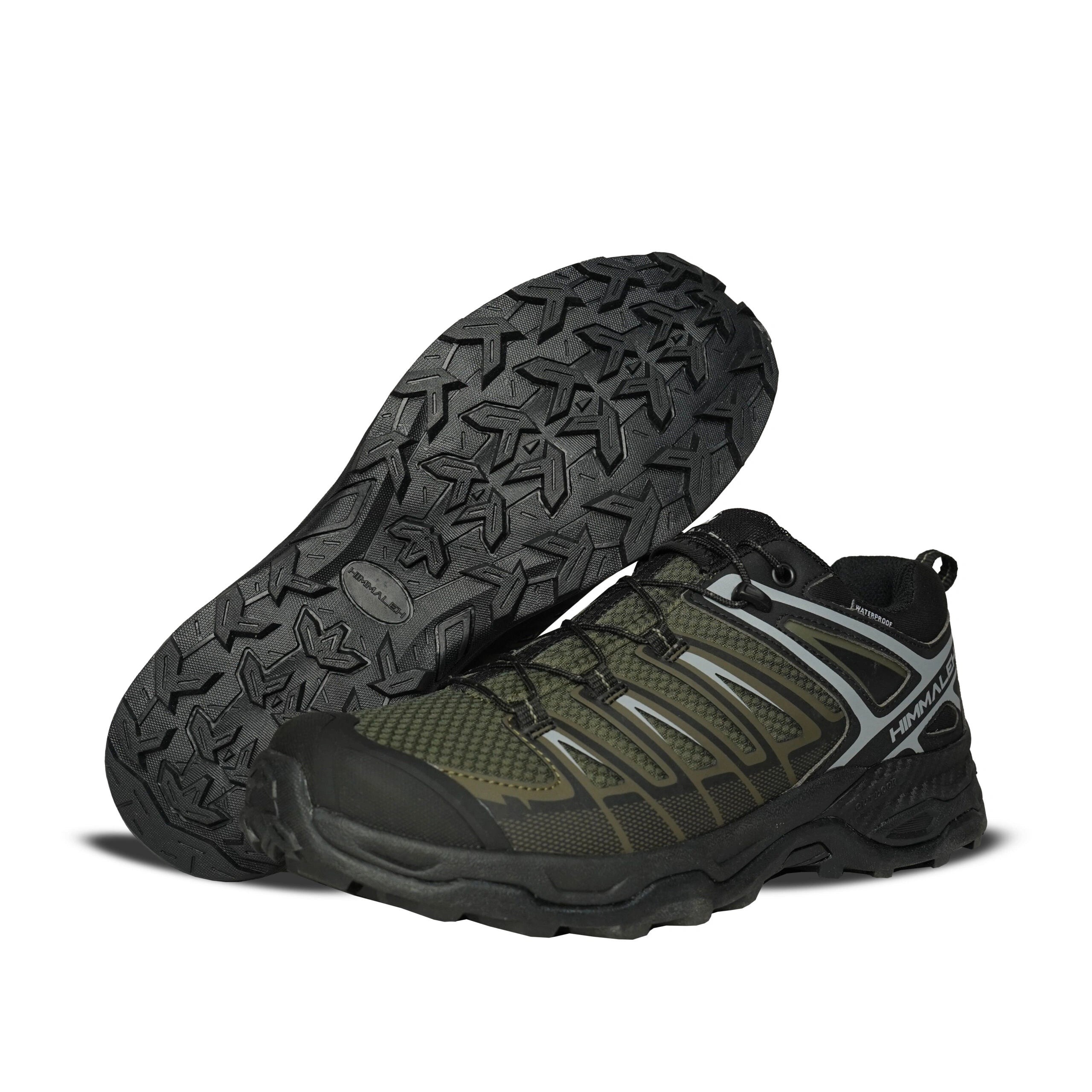 shoe