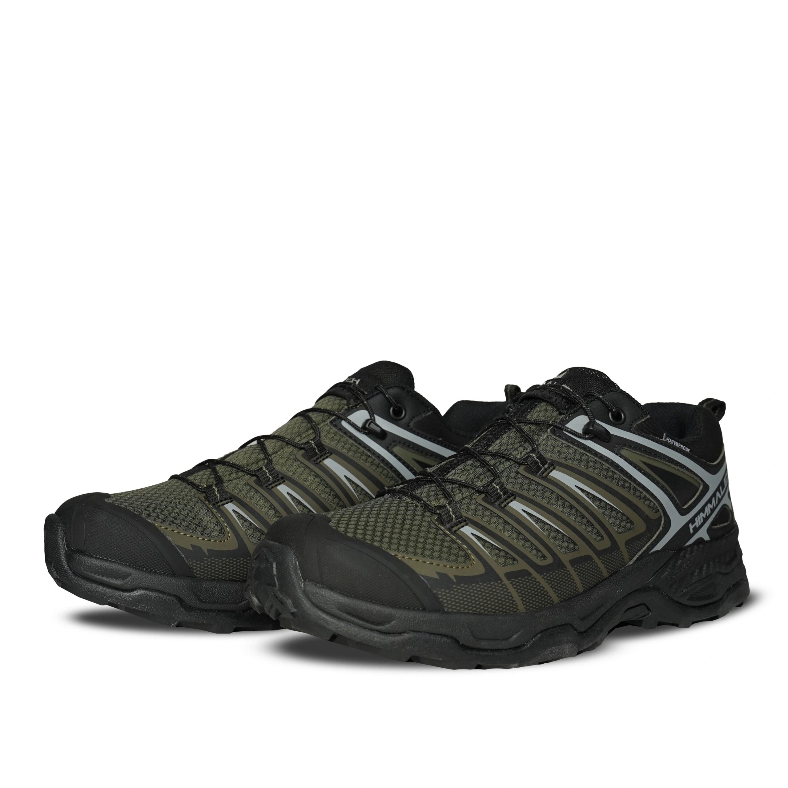 shoe
