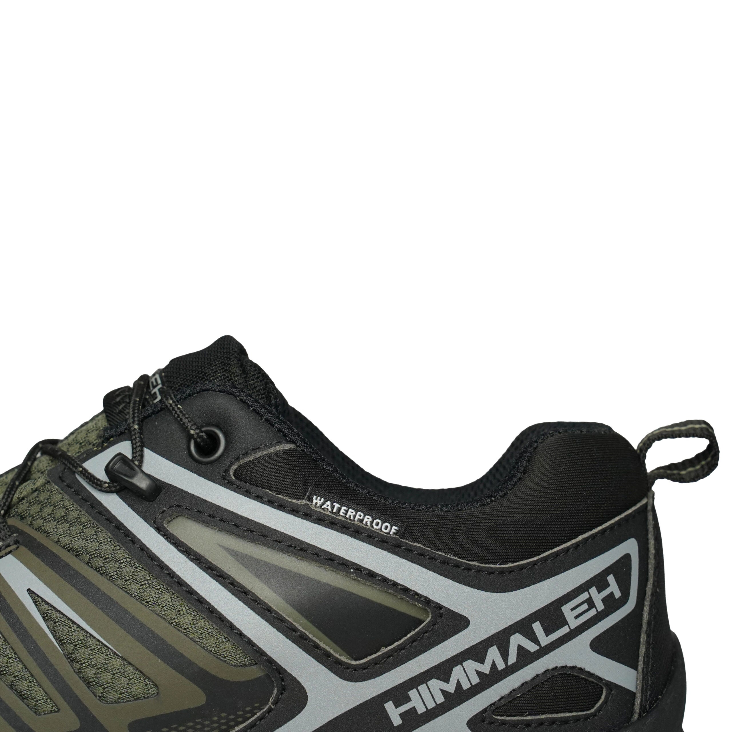 shoe