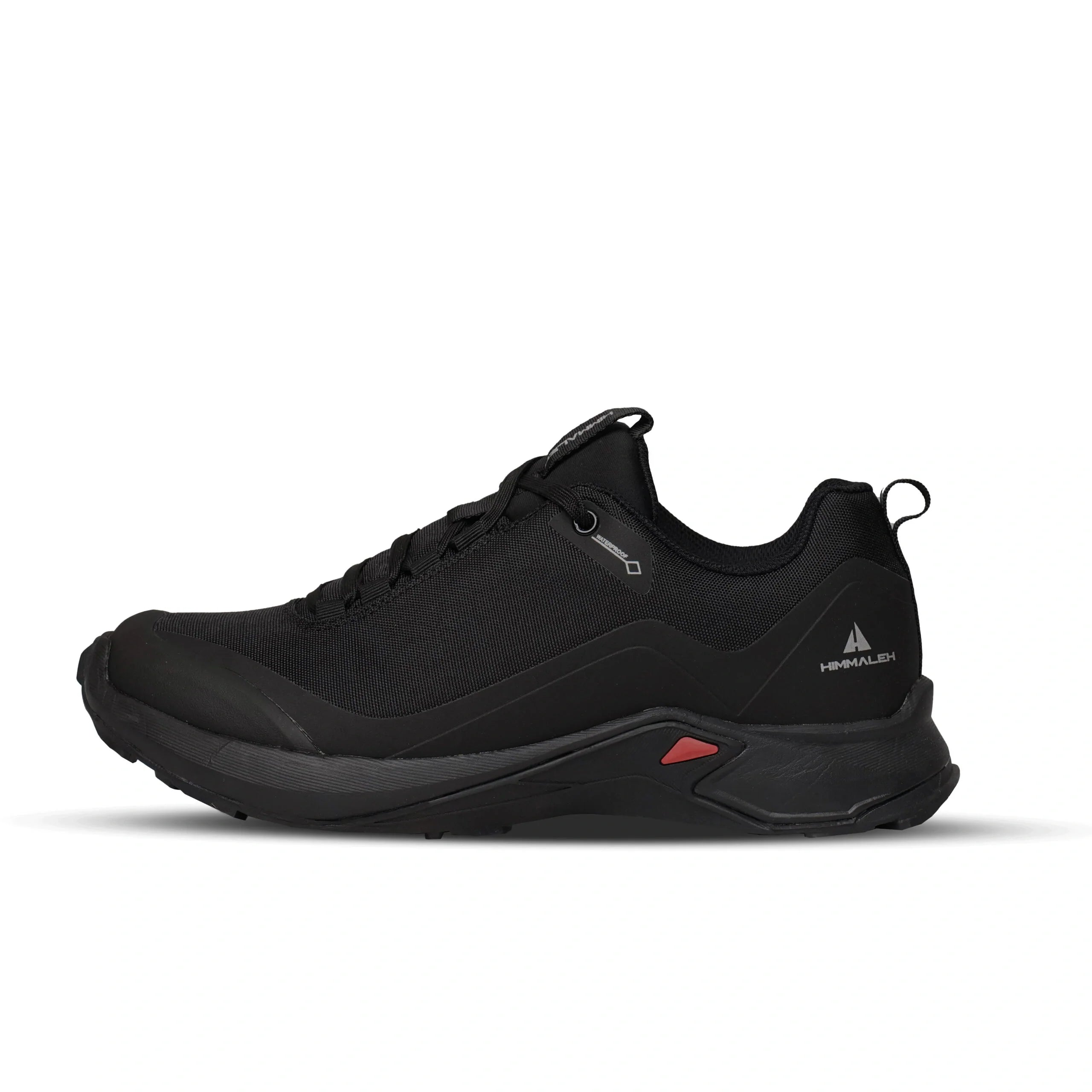 CYCLONE LOW HTX HIKING SHOE